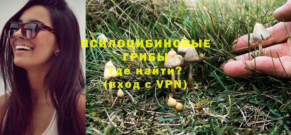 прущая мука Арсеньев
