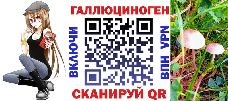 Галлюциногенные грибы ЛСД  Дмитров 